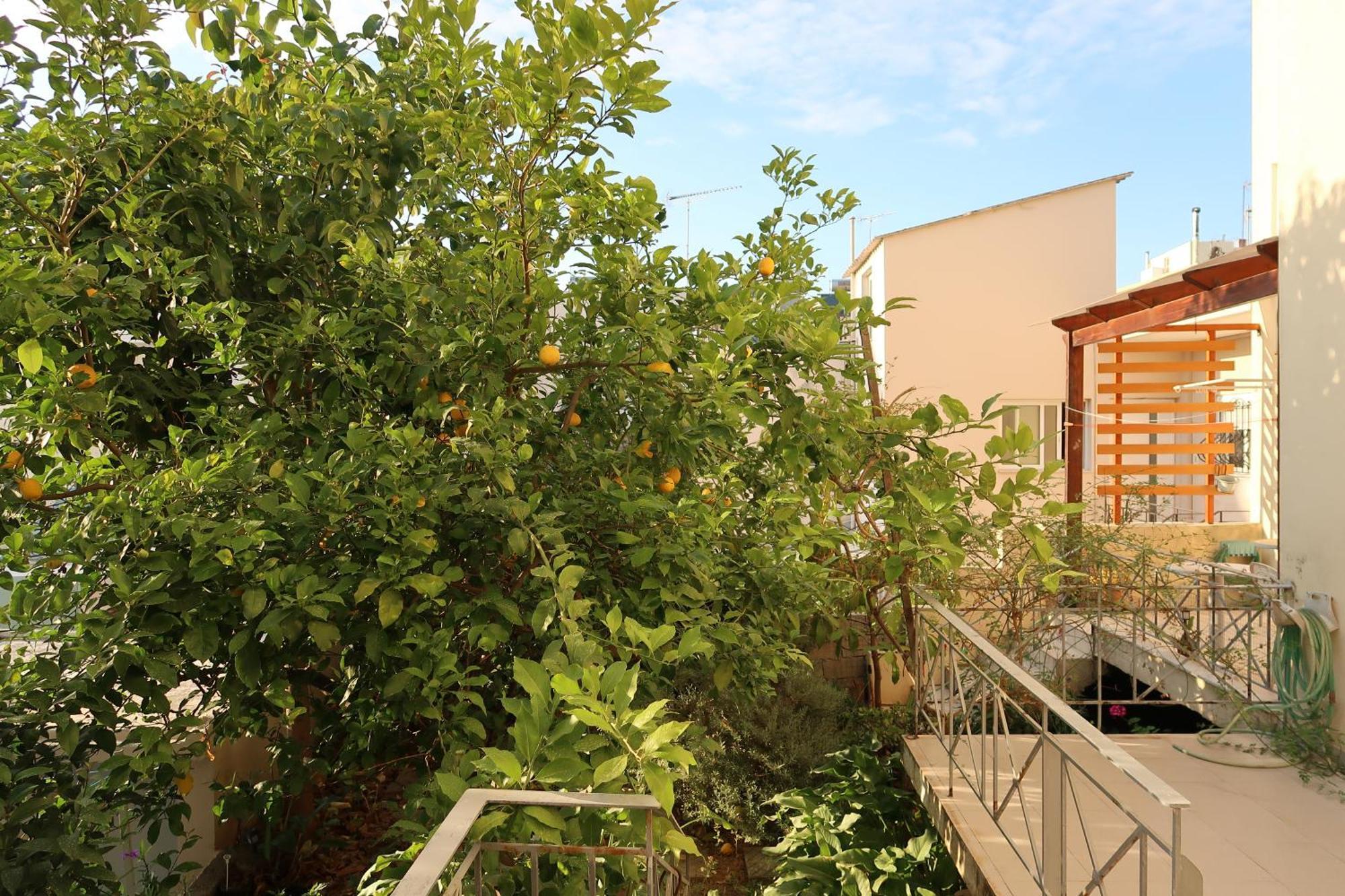 Sunbeam Retreat Villa Chania  Bagian luar foto