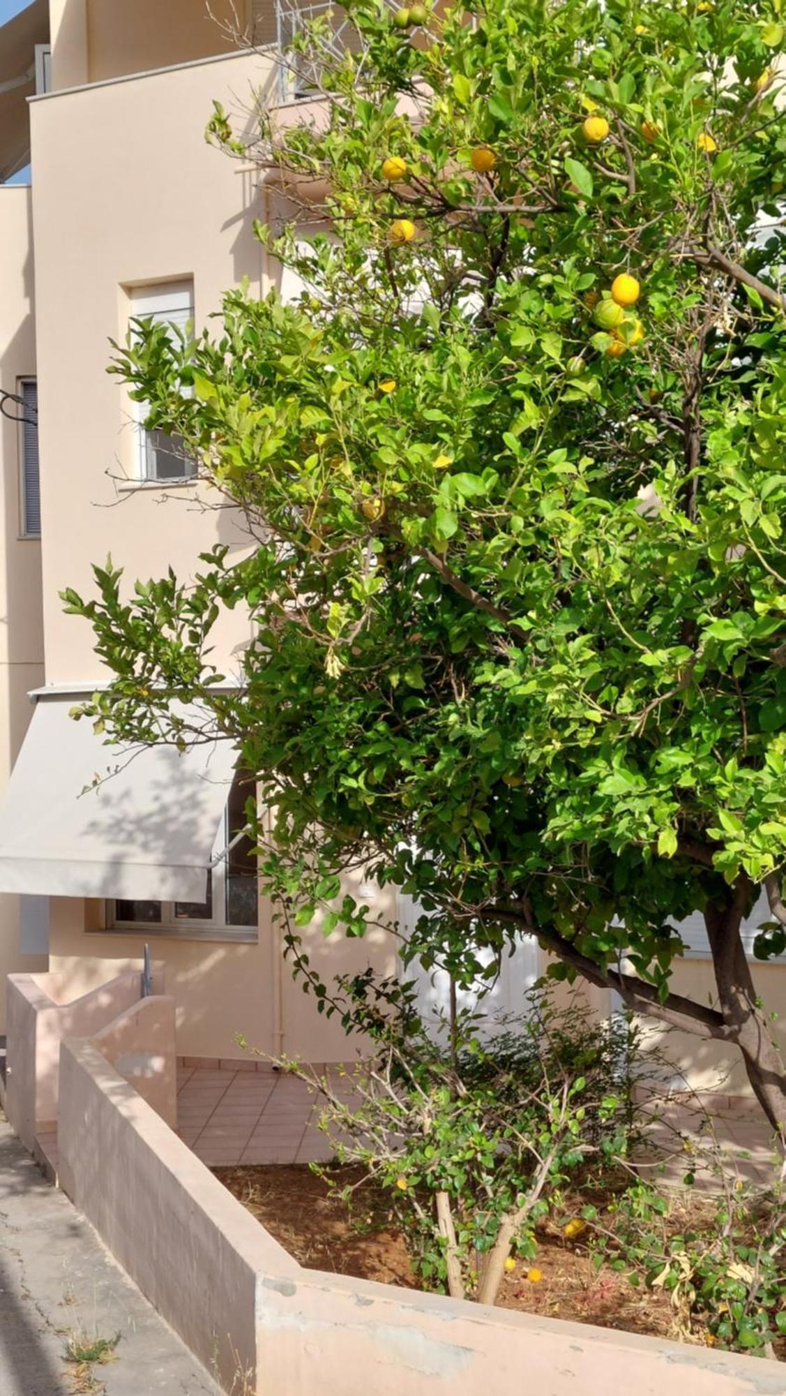 Sunbeam Retreat Villa Chania  Bagian luar foto